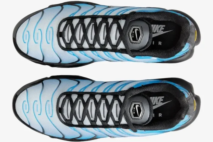 Top-down view of Nike Air Max Plus sneakers in gradient blue and white with black laces. - SKU FQ0204-010