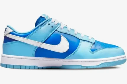 Nike Dunk Low Argon CO.JP Retro sneaker in shades of blue and white, shown from a side profile view. - SKU DM0121-400
