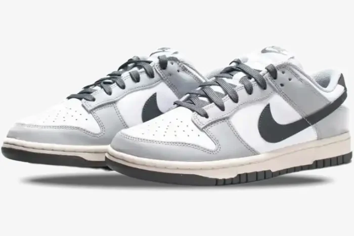 Nike Dunk Low Light Smoke Grey sneakers in a three-quarter side view with white, grey, and black details. - SKU DD1503-117